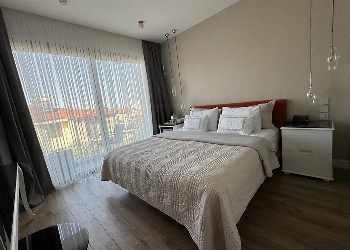 Ferush Boutique Hotel *